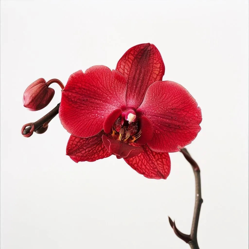 Handmade Red Silk Orchid Brooch